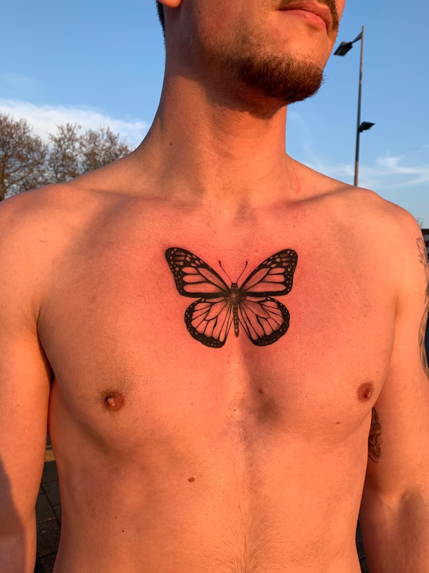 Black butterfly chest tattoo in golden hour light