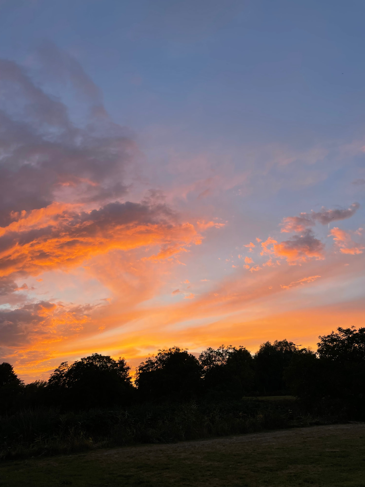 Orange sunset sky over a treeline at dusk